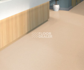 Tarkett iq Melodia 2644 фото 2 | FLOORDEALER